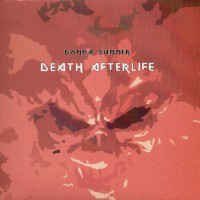 MeWe002 Donna Summer death after life